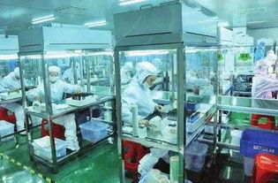 邵陽 企業(yè)軟件開發(fā)的創(chuàng)新實(shí)踐者